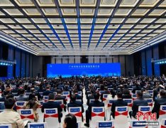 港澳人士献策广州南沙高质量发展