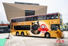 古埃及“法老猫”登上香港巴士“游车河”