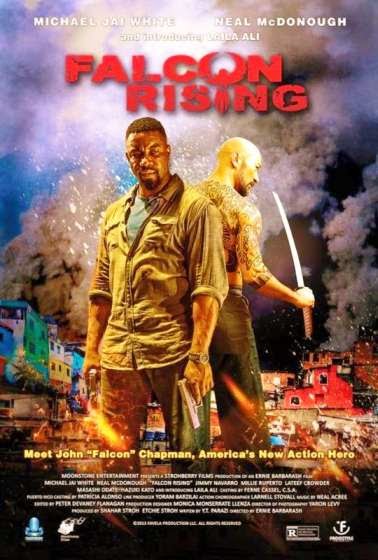 Falcon Rising