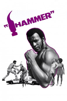 Hammer