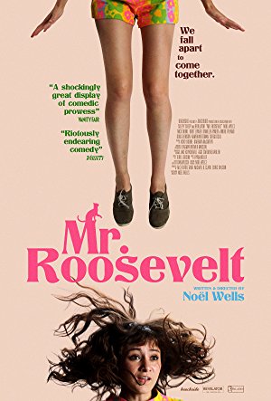 Mr. Roosevelt (2017)