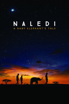 Naledi: A Baby Elephant's Tale (2016)