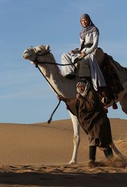 Queen of the Desert (2015)