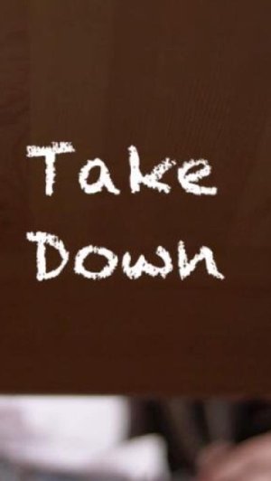 Take Down (2016)