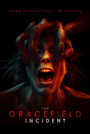 The Gracefield Incident (2017)