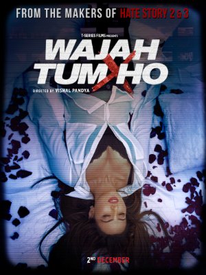 Wajah Tum Ho (2016)