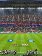 国际角力锦标赛俄罗斯对格鲁吉亚对抗